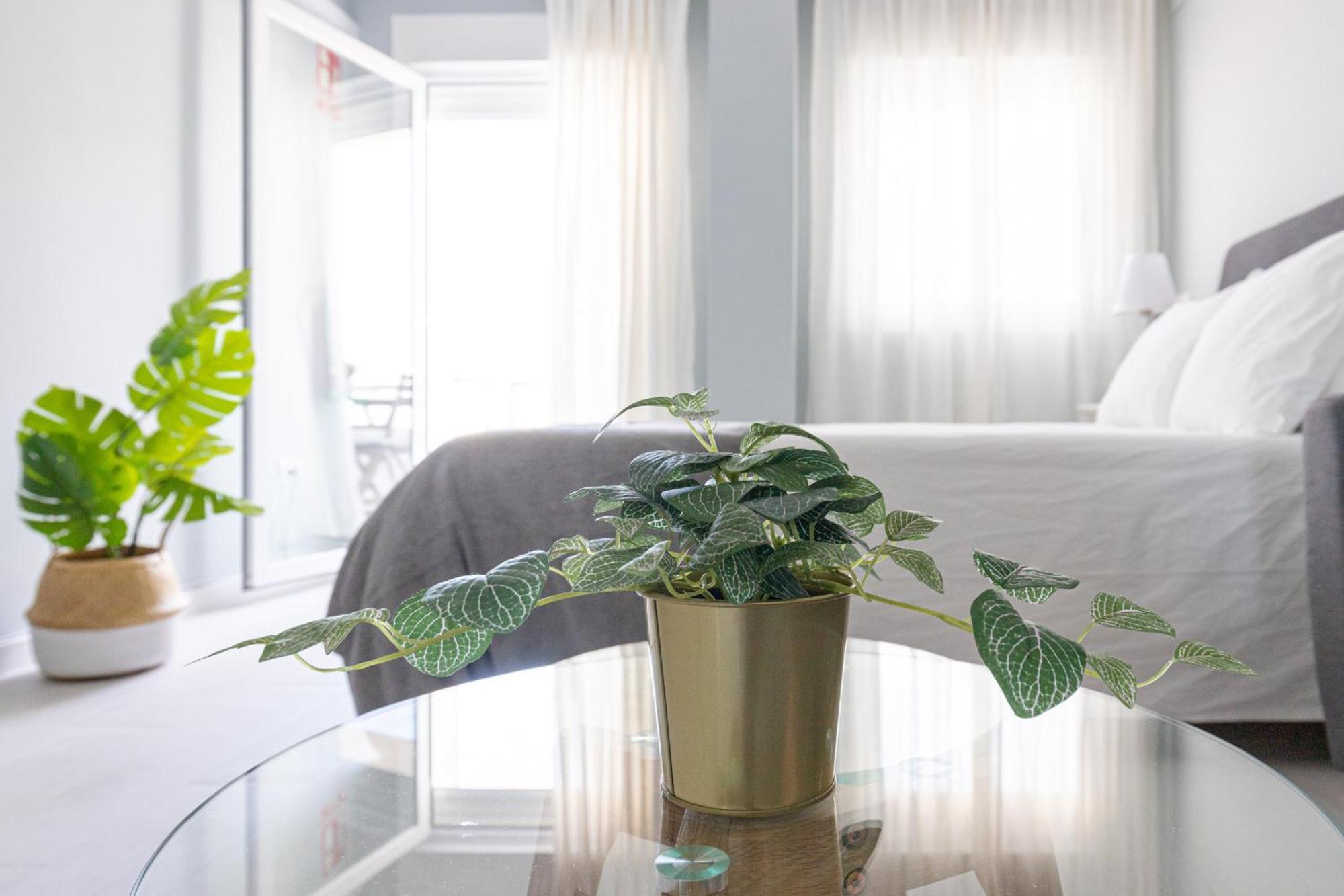 Appartamento Dream Sea Views *